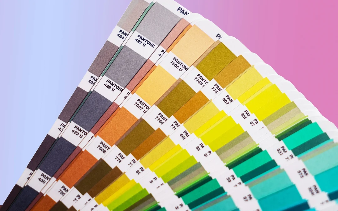 colour choice doors